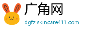 广角网